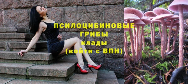 не бодяженный Корсаков