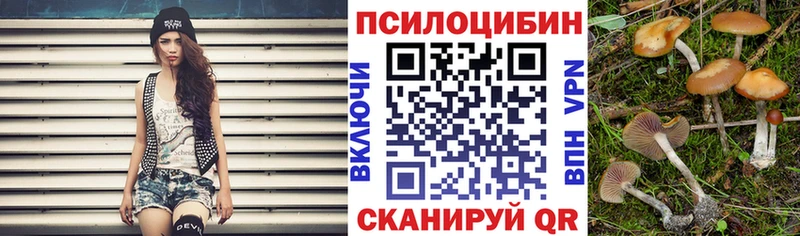 Купить закладки  Пикалёво  Псилоцибиновые грибы GOLDEN TEACHER 